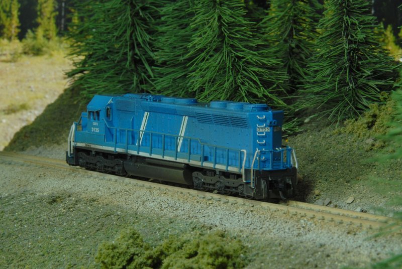 DSC_9178.JPG