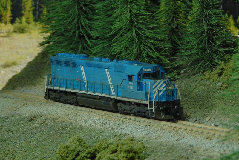 DSC_9175.JPG