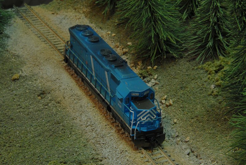 DSC_9196.JPG