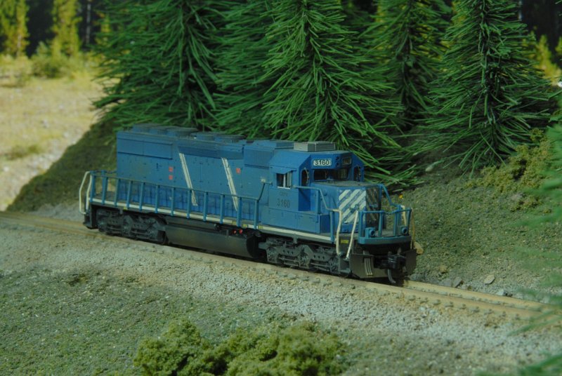 DSC_9171.JPG