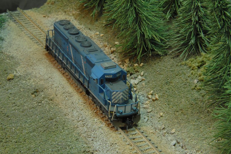 DSC_9212.JPG