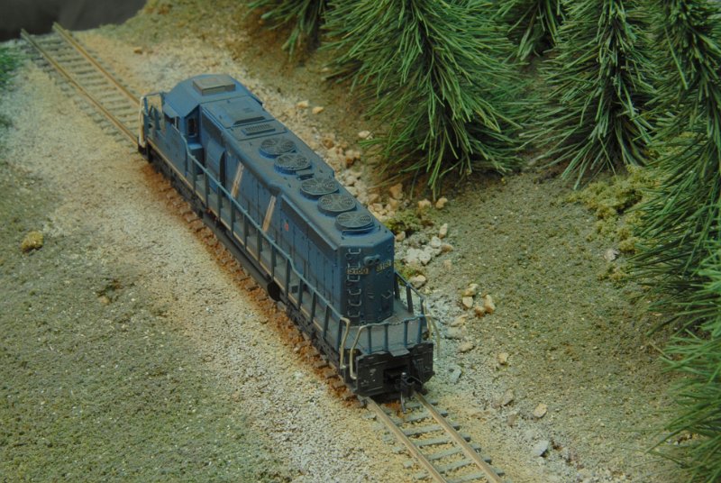 DSC_9213.JPG