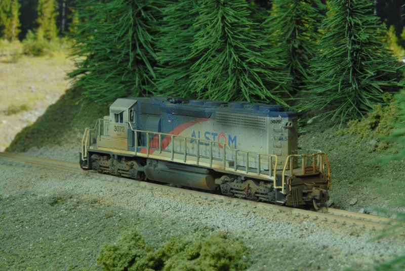 DSC_9166.JPG