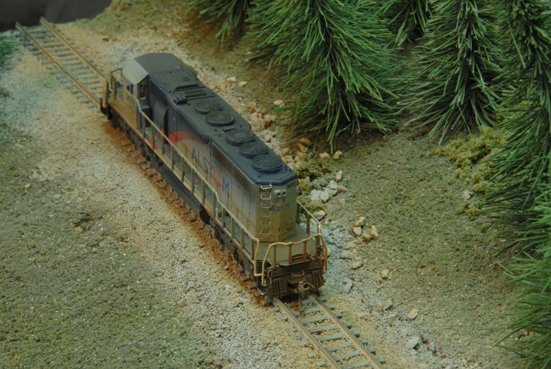 DSC_9219.JPG