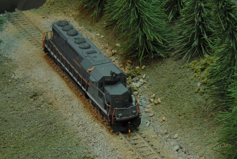 DSC_9228.JPG