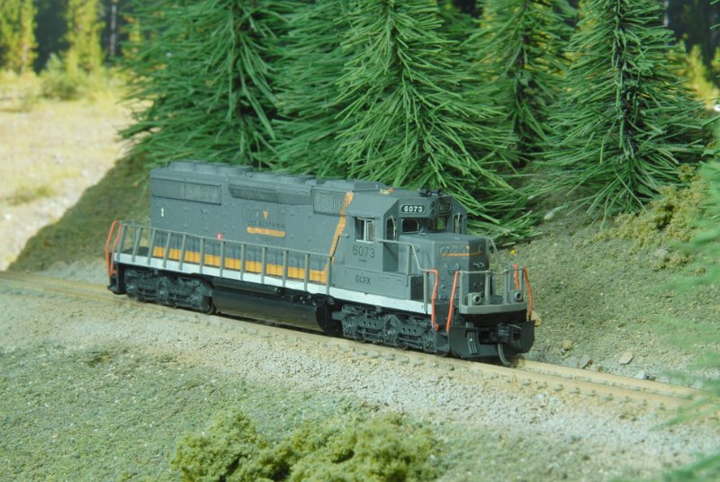 DSC_9169.JPG
