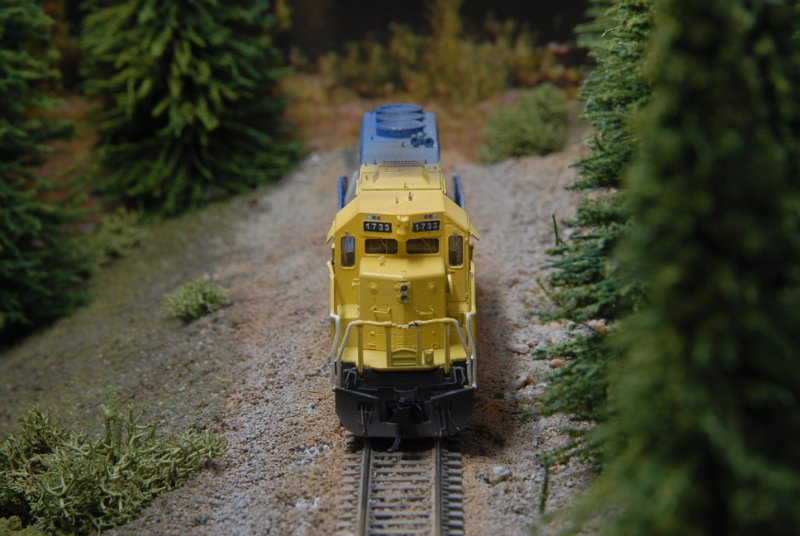 DSC_9352.JPG