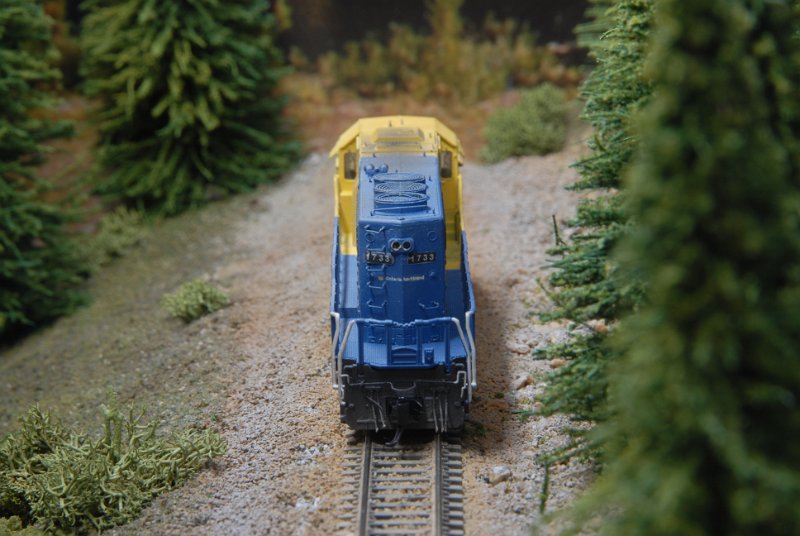DSC_9353.JPG