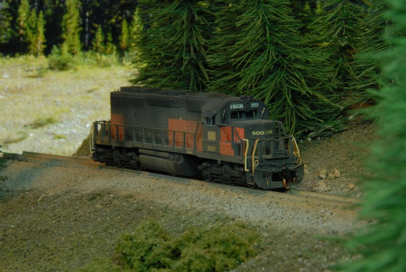 DSC_9251.JPG