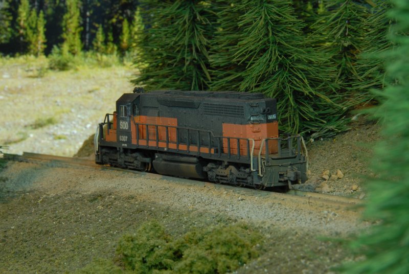DSC_9258.JPG