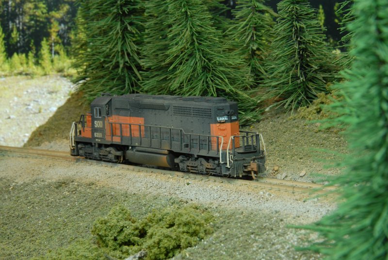 DSC_9287.JPG