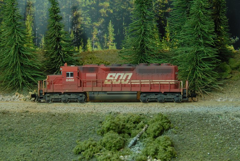 DSC_9103.JPG