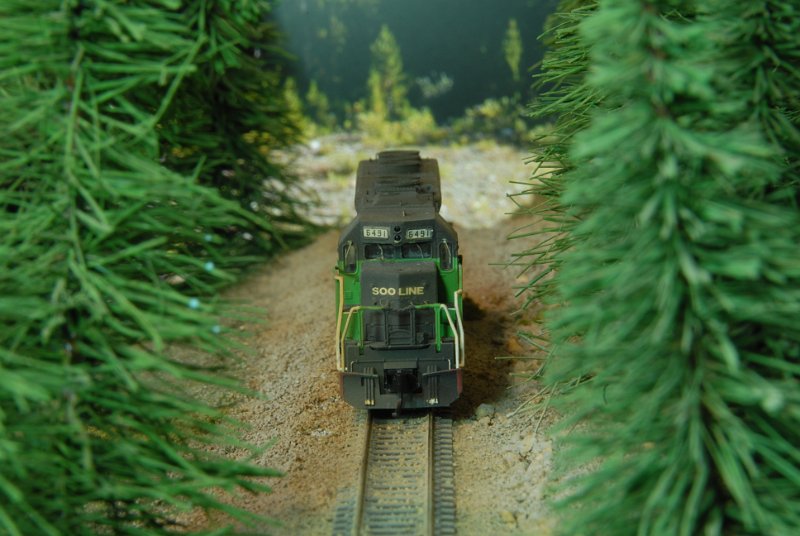DSC_9297.JPG