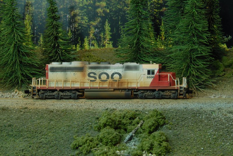 DSC_9106.JPG