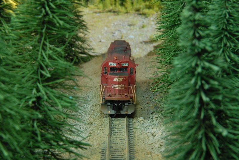 DSC_9090.JPG