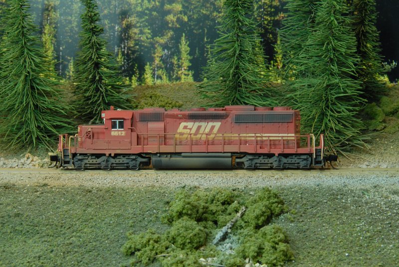 DSC_9104.JPG