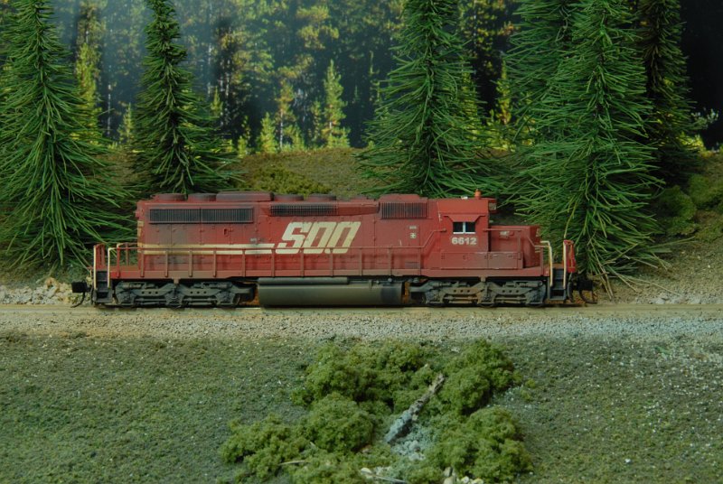 DSC_9105.JPG