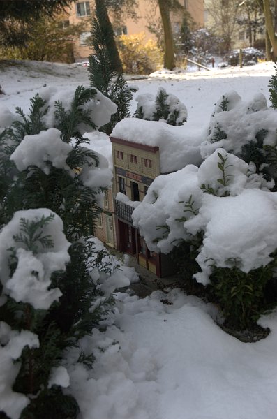 DSC_1017.jpg