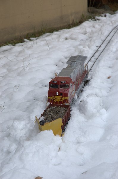DSC_1018.jpg