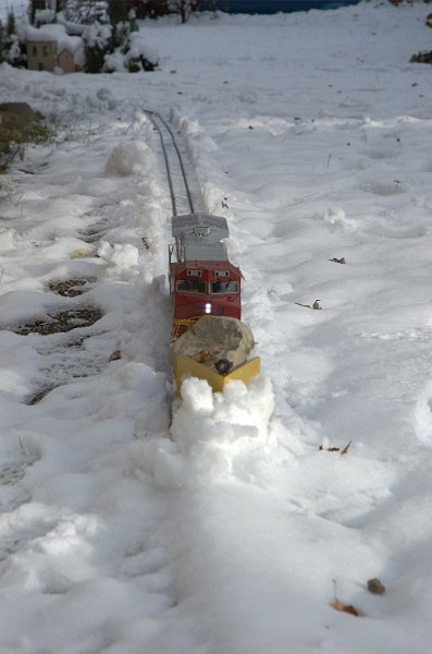 DSC_1022.jpg