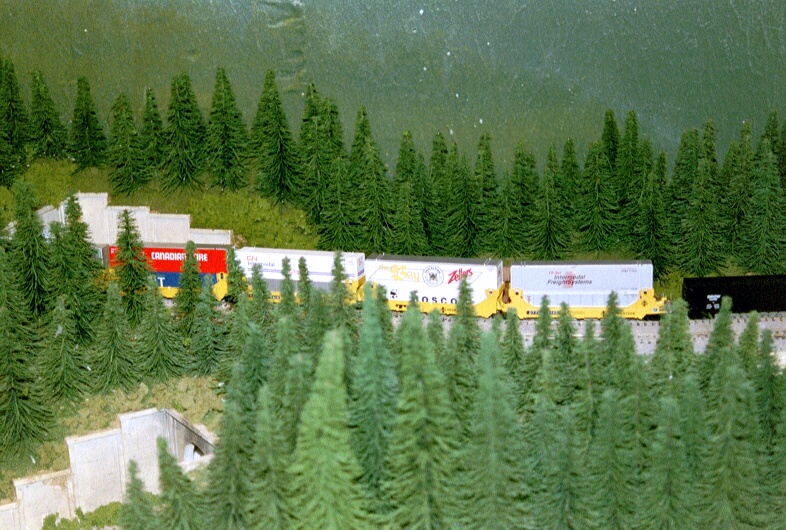 0017_63.JPG