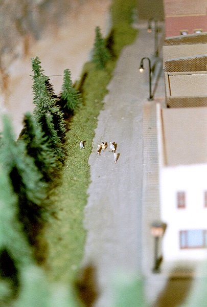 0018_64.JPG