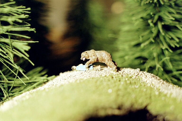 0028_022.JPG