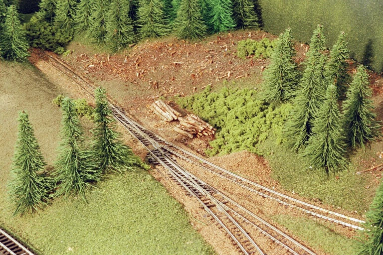 0028_031.JPG