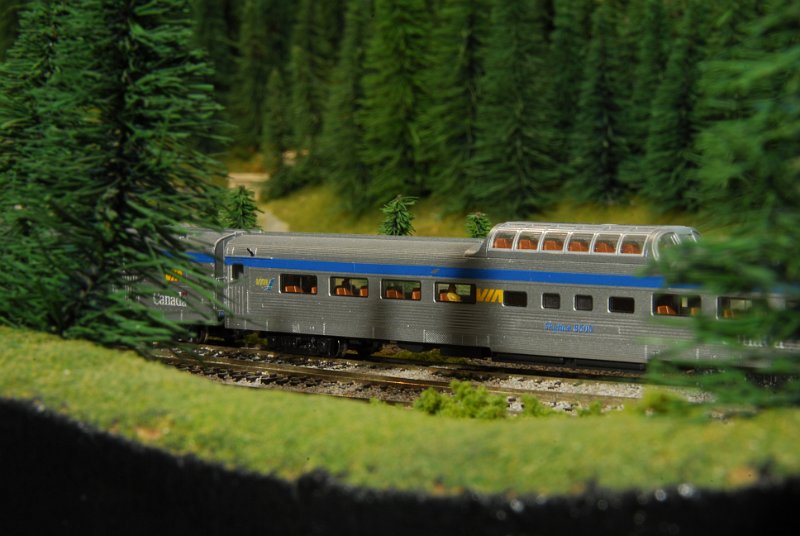 DSC_4612.JPG