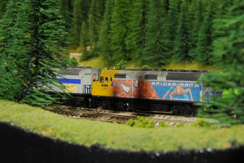 DSC_4613.JPG