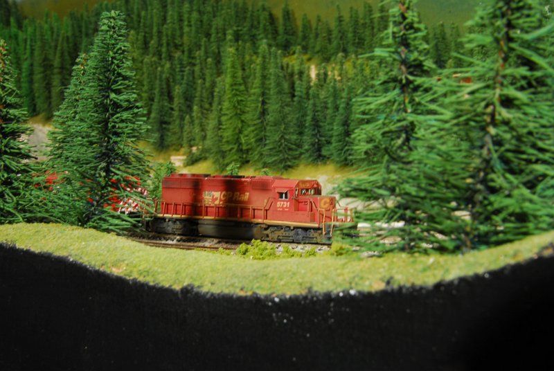 DSC_4616.JPG