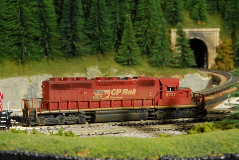 DSC_4620.JPG
