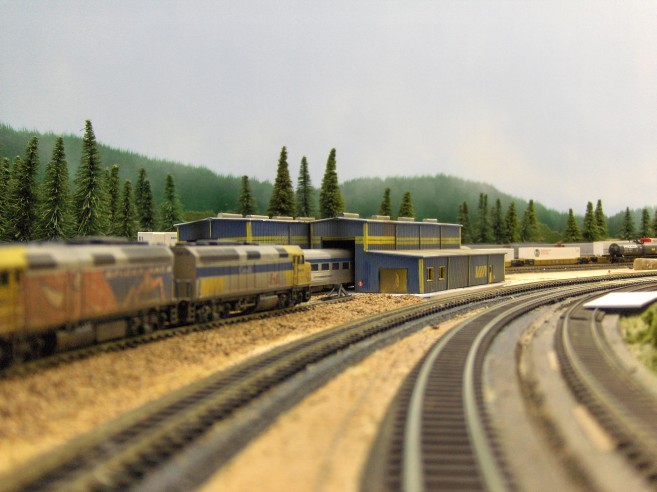 yard003.jpg