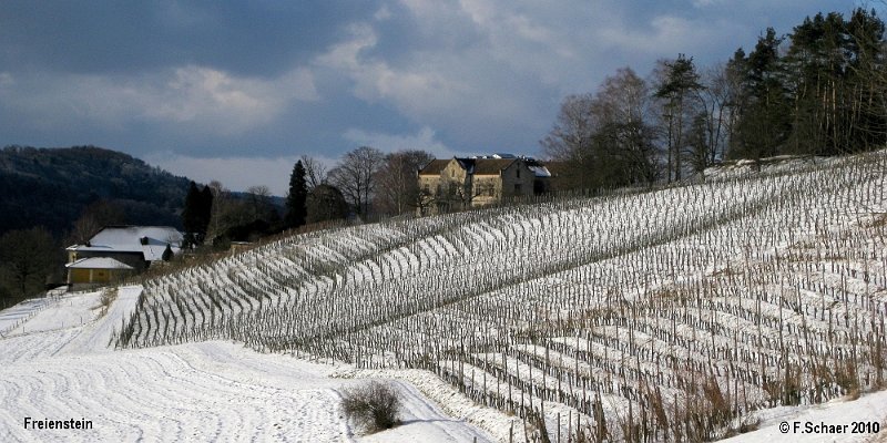 Horizonte 02.jpg - wintry wineyards and the "new" castle of Teufen (1820),only 3/4 mile apart from our previous home in Freienstein,Switzerland.  In the vicinity of "our" village (pop. 2000)they produce about 20 different wines.   click here for Google Maps View   Position (castle): N47°32'36,50" E08°34'32.16", elev. 470m/1550ft Camera: Canon Ixus 80IS, date: 30/01/2010, 14:56 local