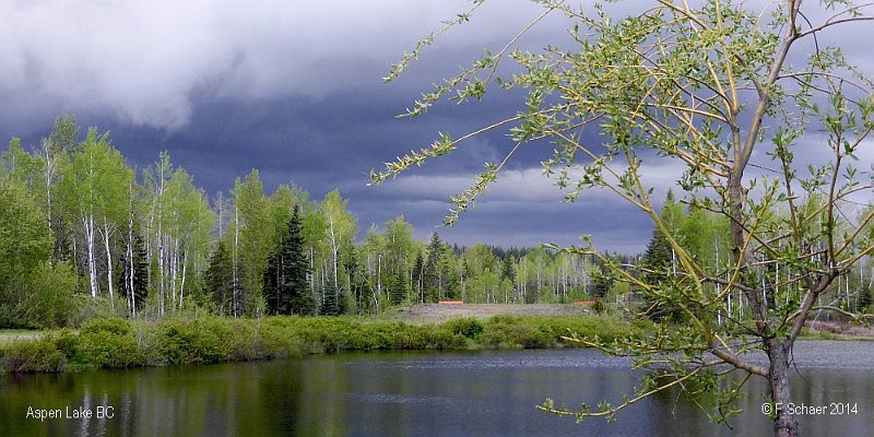 Horizonte 08.jpg - shows our Aspen lake with an approaching thunderstorm   click here for Google Maps View   Position: N 51°53'02" W 120°01'30" Camera : Lumix TZ41