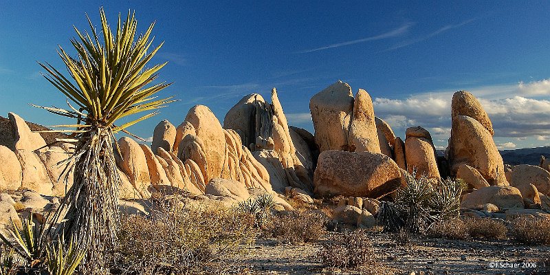 Horizonte 113.jpg - made on a long afternoon walk in Joshua Tree Nationalpark,eastern California. In my opinion this is one of the finest NP forwalking and climbing within huge Granite-rocks in a dry, desertlikeenvironment, especially in late fall or early spring. Could be veryhot in summer...   click here for Google Maps View   Position (camera): N33°59'11"W116°00'56", elev. 1165m/3830ft Camera: Nikon D50 w.18-55 zoom, date: 27/11/2006