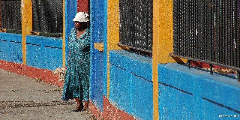 Horizonte 125.jpg - a native lady just leaving the public market hallin Basseterre, St.Kitts (eastern Caribbean Islands)   click here for Google Maps View   Position: N17°17'39" W62°43'26", elev.8m/24ft Camera: Nikon D50 at 200 mm, date 13/11/2007, afternoon