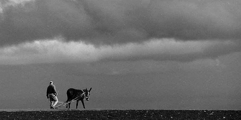 Horizonte 132.jpg - a very old black and white picture I made ona high plateau on Lanzarote (Canary Islands) The darkclouds and the silhouette of the farmer and his donkeyforced me to push the shutter release of my camera.   click here for Google Maps View   Position: N27°56'02" W15°35'05", elev.1020m/3550ft Camera: Nikon F2AS 1,4/50, Ilford HP5, date: 18/10/1986digitalized.