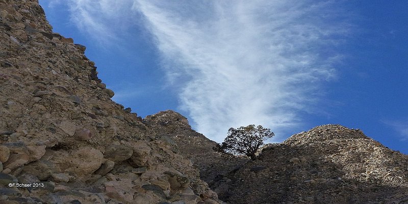 Horizonte 137.jpg - during a short walk around our campground I've seenthis cirrus cloud just above a lonely tree on top of a steep cliffbeside a very dry riverbed.   click here for Google Maps View   Position: N36°57'45" W117°22'18", elev.540m/1775 ft Camera: Lumix TZ20, date: 23/10/2013, 13:00 local