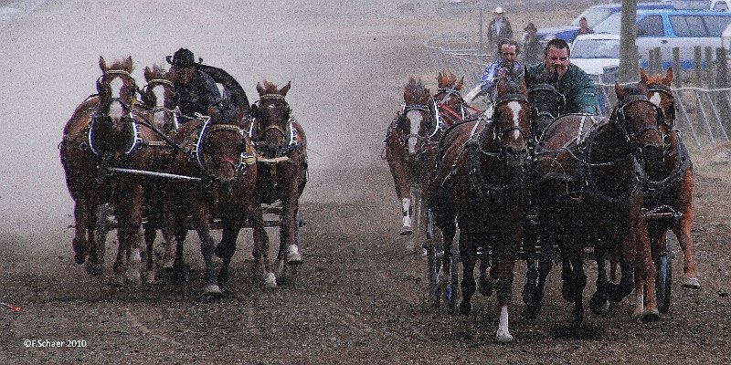 Horizonte 141.jpg - shows one of the most thrilling moments inthe annual Fall-fair-Rodeo in Barrière, BC, Canada:the Chuckwagon-race with 4 horses.   click here for Google Maps View   Position: N51°11'37" W120°07'26", elev. 400m/1315ft Camera: Nikon D200 w.200m lens, date: 04/09/2010