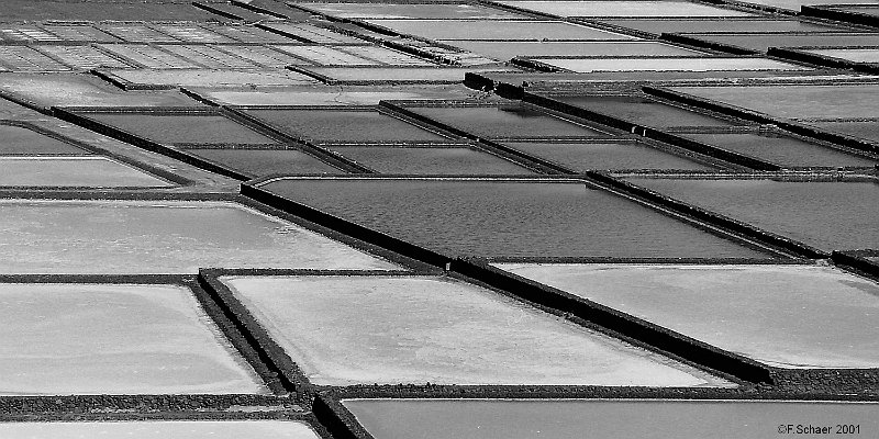 Horizonte 154.jpg - shows the Salinas de Janubio at the western edge of theisland of Lanzarote, Canary Islands, Spain. This saltpans werecreated around 1895 and are still in use. At the peak they producedmore than 10'000 tons of salt, preferrably used for fish-conservation.I was impressed about the strong geometric pattern of the dams andthe salty ponds between, therefore I converted the original slidein black and white.   click here for Google Maps View   Position: N28°56'18" W13°49'07" at sealevel Camera: Nikon F601 on Ektachrome 100, date: 16/02/2001