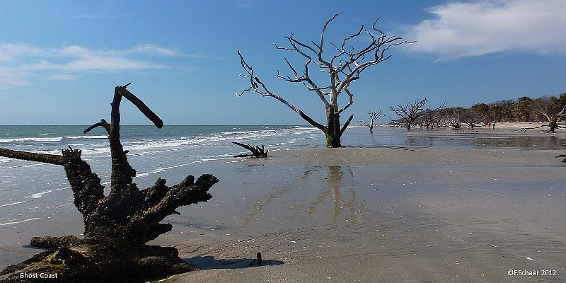 Horizonte 157.jpg - shows the eastern coast of Edisto Island in South Carolina.The coast is named "Ghost Coast" due to the many old extinct treesas a result of the erosion of the sandy islands oceanside due to theendless waves and tides of the atlantic ocean. The coastline undergoesan everlasting changes over the past and future centuries.   click here for Google Maps View   Position: N32°32'41" W80°13'48" at sealevel Camera: Panasonic TZ20, date: 18/03/2012, 12:20 local