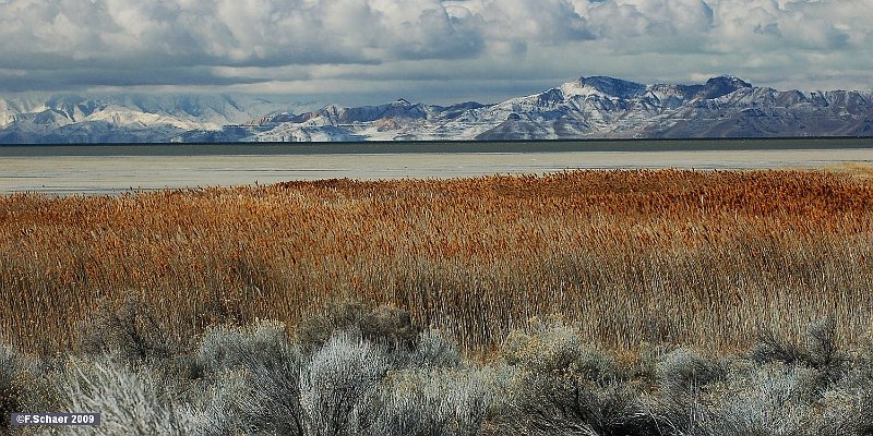 Horizonte 161.jpg - made on an very cold early morning on Antelope Island State Parkin the Great Salt Lake, north of Salt Lake City. This Island covers 115 km2or 2800 acres and is accessable by a 11,5 km road-dam. We both camped there in cold temperatures and were the only humans during the night. Wild Buffalosas well as Antelopes roamed around our campground and we had a great view tothe still snow-covered mountains across the huge lake.   click here for Google Maps View   Position: N41°02'25" W112°15'38", elev. 1295m/4250ft Camera: Nikon D50, date: 30/03/2009, 09:54 local