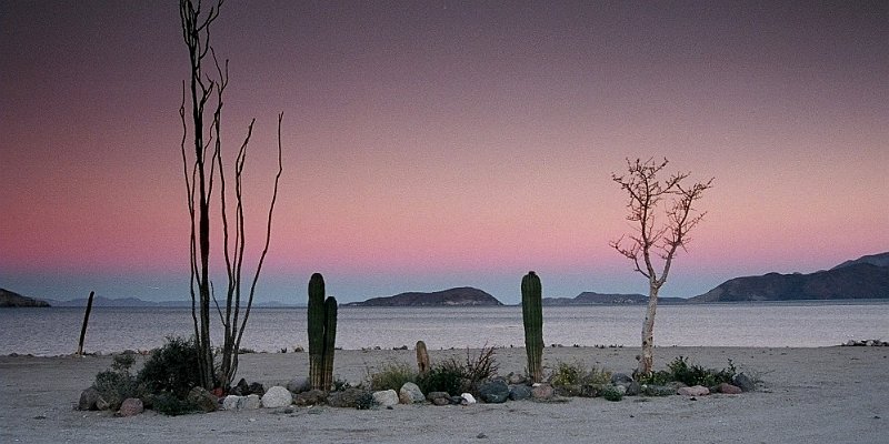 Horizonte 21.jpg - made in the very early morning of March 18, 2005 on a campground at the eastern shore of Baja California, north of the village of Bahia de los Angeles with my tiny Canon Ixus on Kodak APS-Film.    click here for Google Maps View   Position: N28°57'15" W113°33'25" Elev. 5m above Sea Level