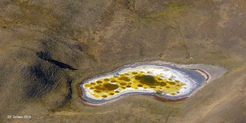 Horizonte 211.jpg - a "spotted lake" in the desertlike hills northof Kamloops, British Columbia, Canada. Those lakes containslots of minerals, mostly sodium and calcium sulphates. Mostof their water evaporates in summer, so the surface looks quitedifferent in fall compare to spring when the spots are invisible.   click here for Google Maps View   Position: N50°48'23" W120°22'18", elev. 711m/2340ft Camera: Lumix TZ41, date: 08/10/2014, 12:09pm local time