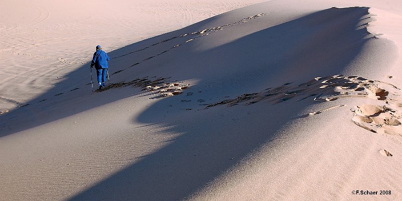 Horizonte 232.jpg - a lonesome walk in the dunes of the "Coral Pink-Sand Dunes State Park" just west of Kanab, Utah, USA.   click here for Google Maps View   Position: N37°01'56" W112°43'42", elev. 1795m/5900ft Camera: HP 927, date:17/11/2008, time not recorded