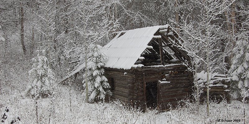 Horizonte 243.jpg - shows the remaining goat-shed, build 1938 as a partof the abandoned homestead along Clearwater Valley Road,belonged to the Helset-Family. Their descendants live stillin the Upper Clearwater Valley!   click here for Google Maps View   Position: N51°49'58"/W120°01'32,50", elev. 722m/2375ft. Camera: Canon Ixus, date: 2008, not exactly recorded.