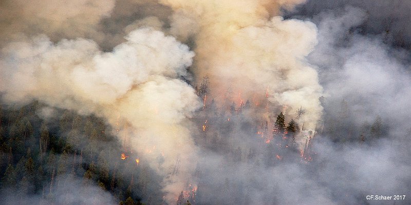 Horizonte 265.jpg - that's the actual dangerous Fire-situation in British Columbia.Starting a week ago there are presently hundreds of forest-fires, also inour area. We just got the information, Clearwater is on evacuation alert,that means, everybody has to leave their home on official evacuation order!We will stay on our realtively safe property, ready to fight against fires.We are well prepared and just yesterday I cutted about 80 small/mediumspruces behind the hangar to keep more distance.