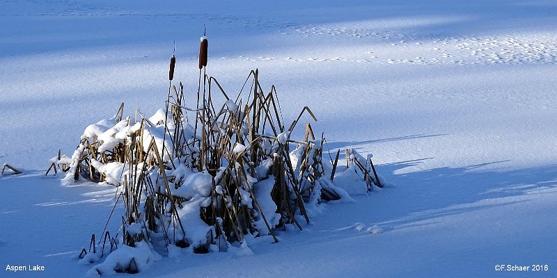 Horizonte 284.jpg - Pic #284, made on our Aspen-Lake I send you best wishes for 2018!Stay always in a good mind, keep good health and a positive philosophyof life."The past is history, the future is a secret, but each moment is a gift"   click here for Google Maps View   