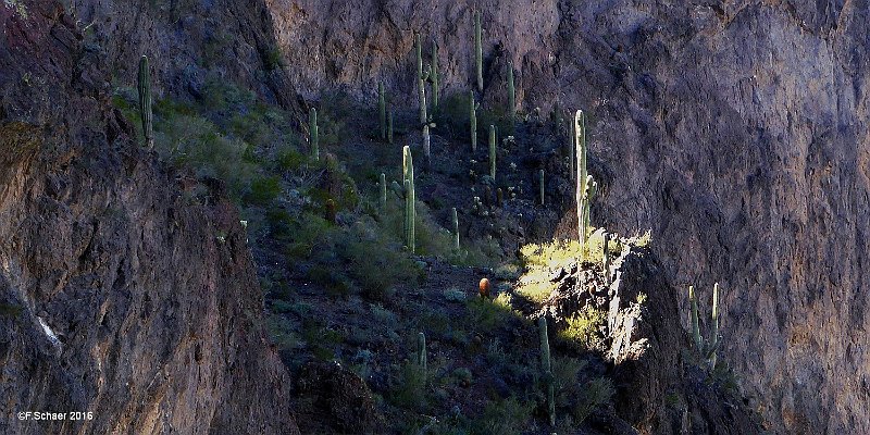 Horizonte 291.jpg - the very last sunbeam on a rocky cliff on theeastern slope of Picacho-Peak, north of Tucson, Arizona.I made it on my way back to the campground from a long,strenuous walk.   click here for Google Maps View   Position: N 32°38'13"/W 111°24'12", elev. 795m/2615 ftCamera: Panasonic Lumix TZ41, date: 09/02/2016